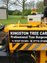 Kingston Tree Care