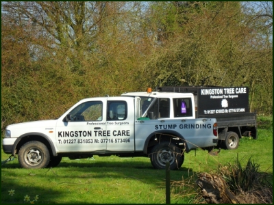 Kingston Tree Care Insurance